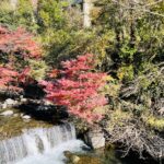 1E3080CB-0340-47FE-8709-5512B6A06F98