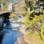 42FBF028-01D0-40ED-A322-506798529C9F