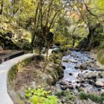 579BB7E5-1C15-4B7F-8FCE-70D652265516