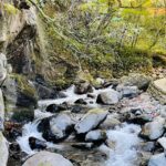 8C9F15F3-86F0-4592-834B-FE7C787CD18C