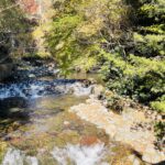 D5CC14FF-6369-4490-AC43-62DCFF2DD089