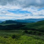 0EAD8D06-7DD1-4488-ADFB-259A18AC8944