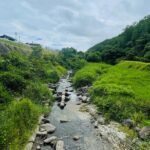 26F1D522-CB37-41F5-A7DC-61C8A4DD0A08