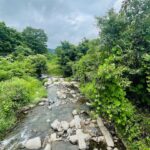 5133C459-5D52-4E60-B4BF-BE4BC39EA682