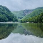 563440C2-1698-4CA4-91E5-4F0E0D2182FD