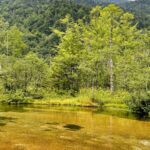 749429E9-0CBA-47A9-BDEB-E7762FEFF17C