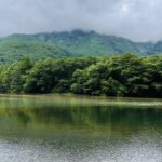 970D907E-2DA9-4E17-AC0F-5C2F54E724B2