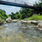 B385E628-06BA-432D-AD1D-CAF3AD0A83C2