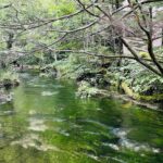 FB91782A-21B0-4346-95C7-F0D9D05E1880